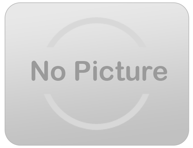 Solar Landscape Light Set